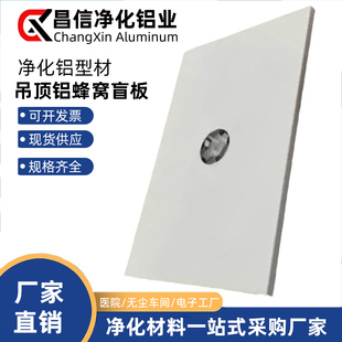FFU盲板洁净车间彩钢板夹芯铝蜂窝板吊顶M防火保温隔热盲板配件