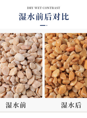 天然黄色砾石石子鹅卵石水洗磨石地面专用枯山水造景铺路装饰