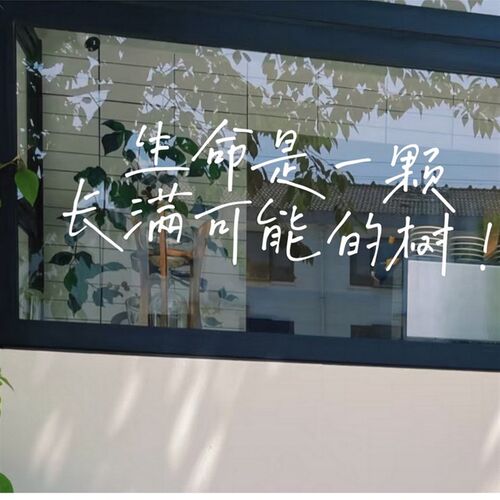 生命是一颗长满可能得树治愈文字咖啡蛋糕店橱窗玻璃镜子装饰贴纸