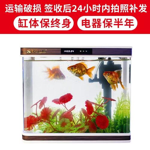 鱼缸水族箱生态桌面创意金鱼缸玻璃迷你小型客厅懒人免换水家用缸