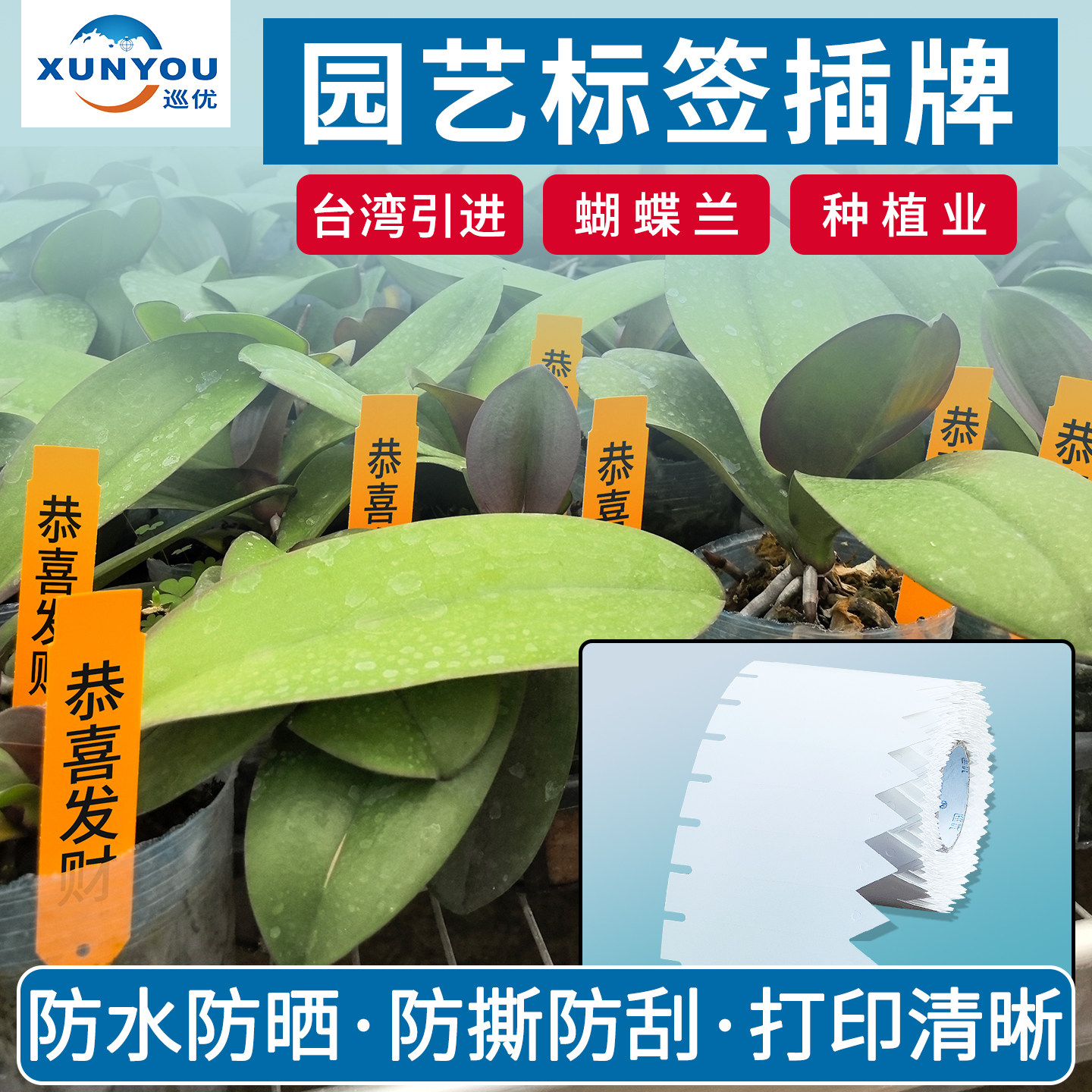 空白植物标签园艺插牌打印纸彩色图片
