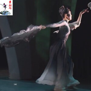 新款水墨语舞蹈服古典舞演出服飘逸大裙摆扇子舞中国风表演服定制