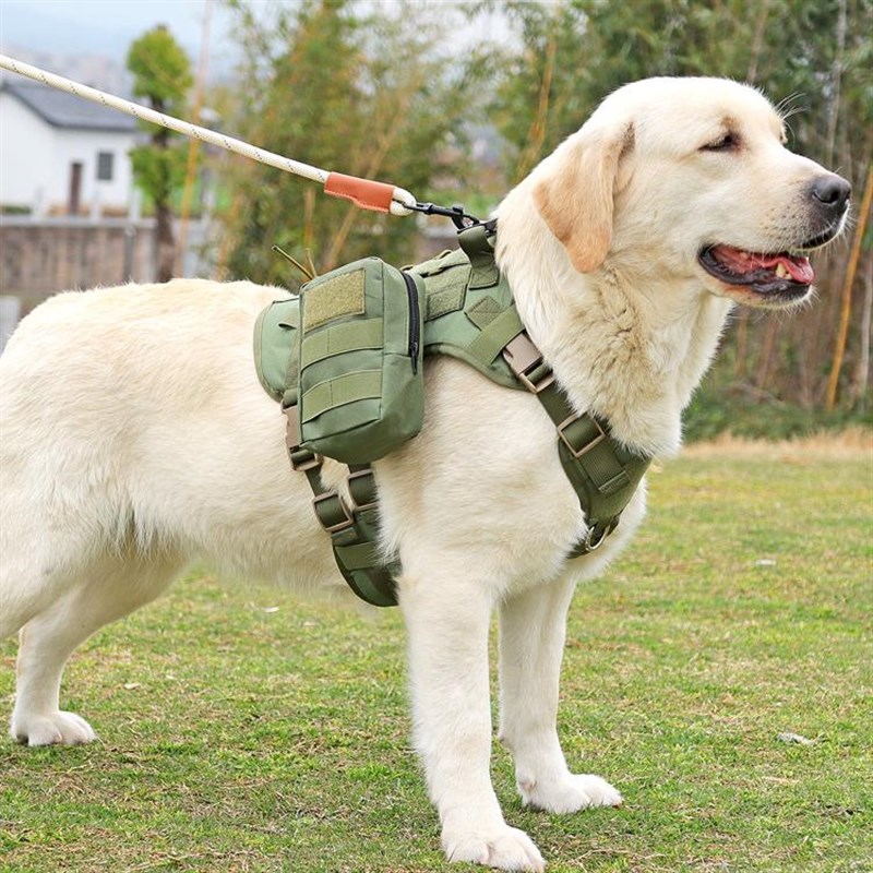 狗狗牵引绳外出中大型犬战术胸背背心式防挣脱金毛拉布拉多遛狗绳