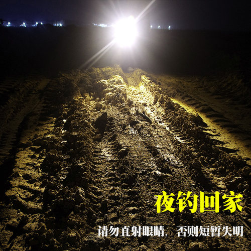 夜钓灯蓝光强光钓鱼灯激光炮垂钓台钓氙气灯四光源专用充电手电筒