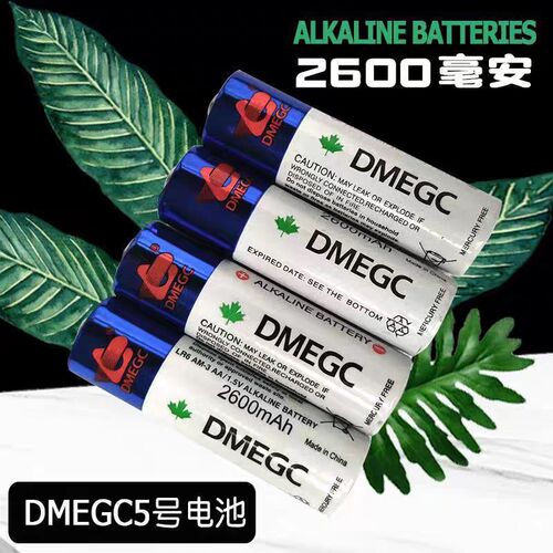 DMEGC五号电池智能锁专用5号碱性干电池2600mAh高容【不可充电】