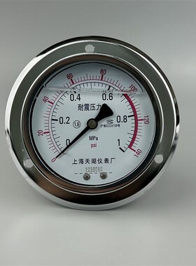 上海天湖YN-100ZT轴向带边耐震压力表 充油抗震0-1 1.6 25 40MPA