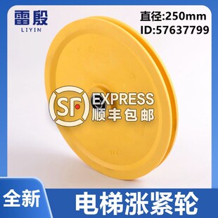 雷殷适用于电梯5500限速器涨紧轮直径250mm轴承6201 57637799