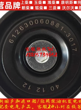 潍柴柴油发动机船用WD615WP12 WD10惰 张紧轮612630060881涨紧轮