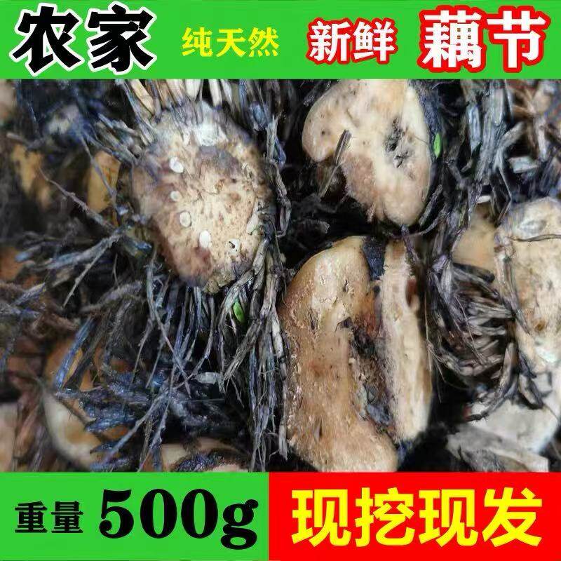 新鲜莲藕节 可煮水煲汤藕节疤老藕段藕段无硫熏农家鼻血纯天然