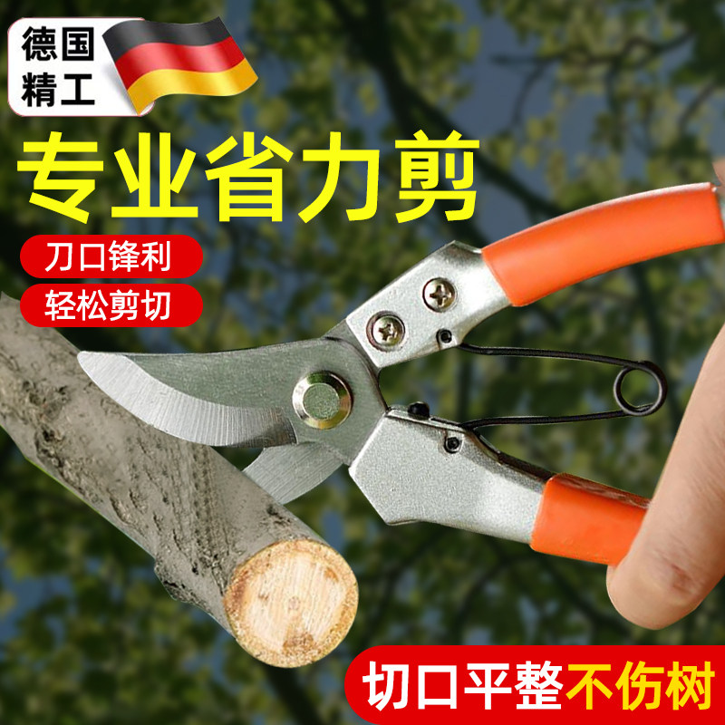 德国精工园艺修枝剪套装刀果树修枝花艺高枝剪树木枝条剪刀