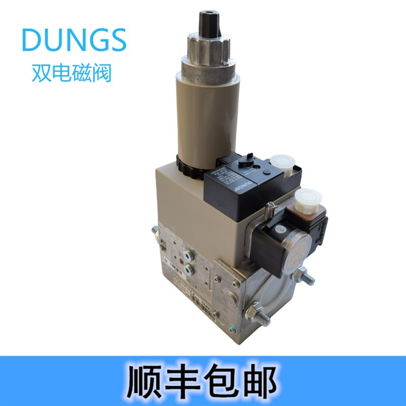 DUNGS双电磁阀MBZRDLE407B01S20 MBZRDLE412B01S50 MBDLE420B01