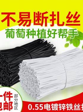 捆扎小号铁丝花枝固定整理?扎带牢固扎线家里黑色绑绳白色固定器