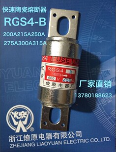 RGS4-B(200A-315A)快速熔断器/燎原熔断器rgs4-b