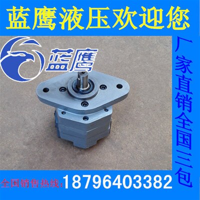 同上海东高菱形法兰安装BB-B16N/B20/B25 BB-B32N摆线齿轮油泵D A