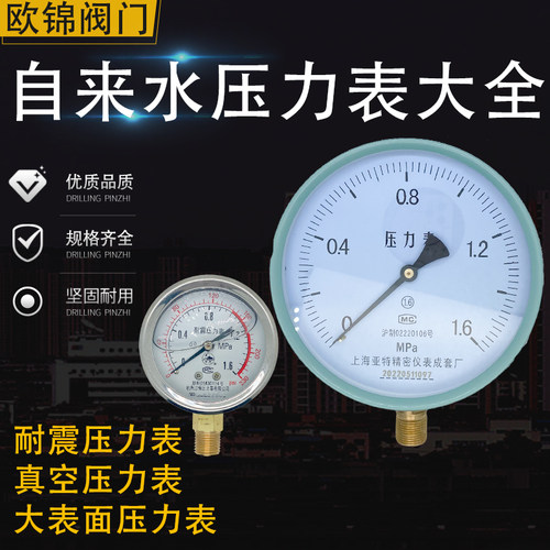 含油耐震压力表YN60/100防锈铜螺纹水压气压液压大表面温压一体表