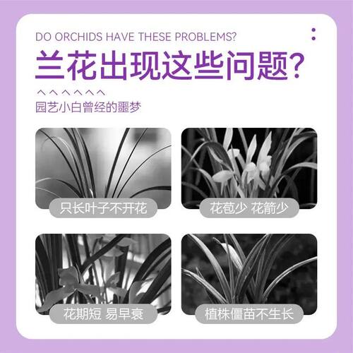 【兰花多箭素】蝴蝶兰营养液催花延花期治黄叶专用液体肥通用型氮