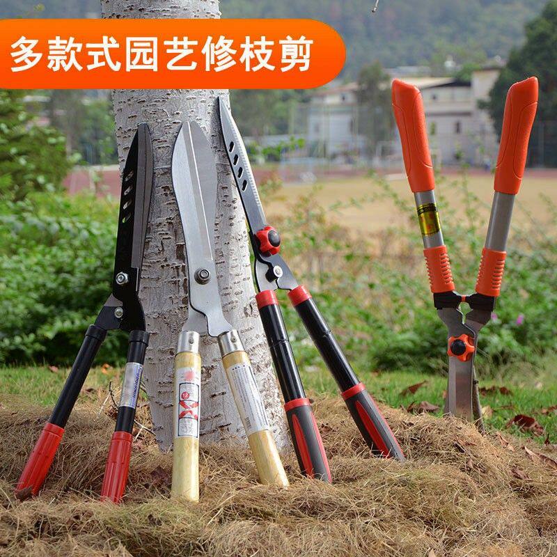 省力园艺修枝剪修剪工具大枝剪剪刀绿化整形加厚粗枝剪花剪粗枝剪图片