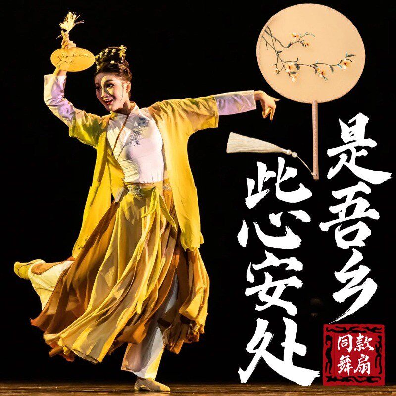 此心安处是吾乡舞蹈扇子r古典舞表演专用双面刺绣团扇古风跳舞道
