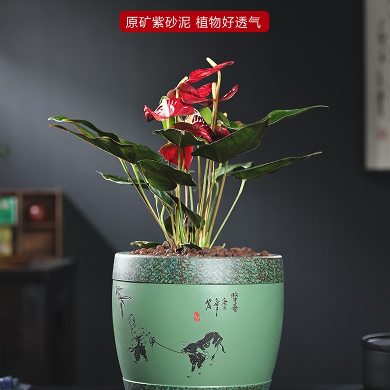 精品紫砂花盆网i红款花卉绿植盆景兰花盆君子兰盆阳台仿古室内桌