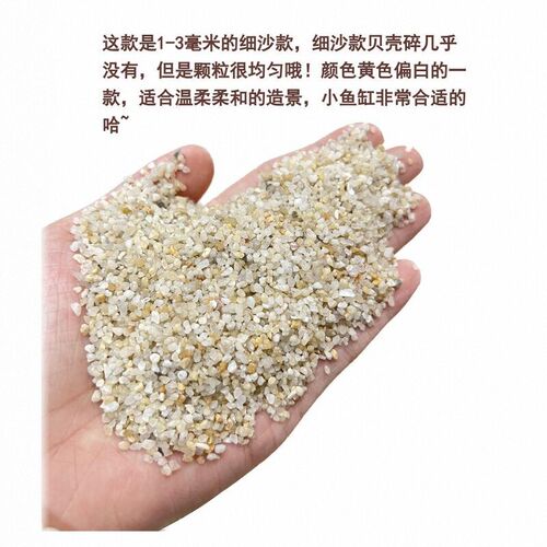 免洗海沙鱼缸造景沙乌龟沙水族箱水草缸沙寄居蟹贝壳海缸沙蟹流沙