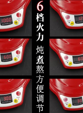 玻璃养生壶煎药定时六档火力家用煲汤熬粥多用大容量养身电煮茶壶