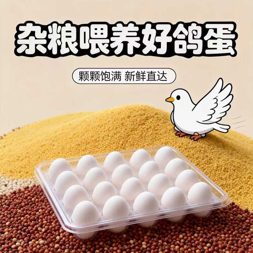 【顺丰包邮】鸽子蛋农家散养鸽蛋杂粮喂养孕妇宝宝营养蛋新鲜现发