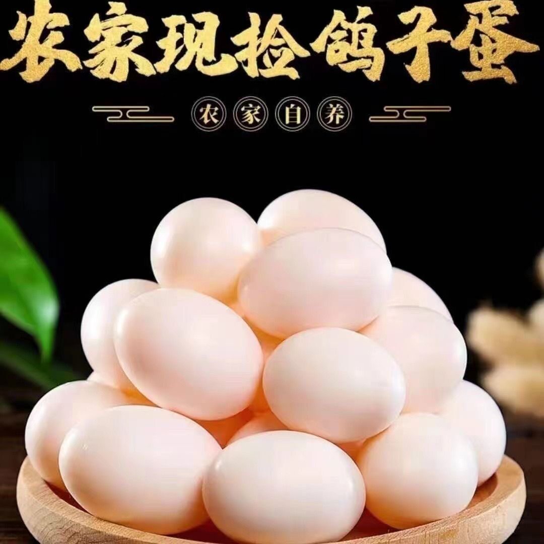 顺丰到家】鸽子蛋新鲜白信鸽初生鸡蛋