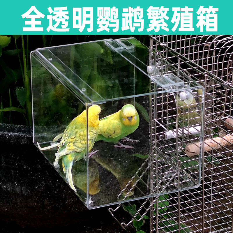 全透明鹦鹉繁殖箱竖式大号亚克力虎皮牡丹玄凤专用巢箱鸟窝鸟巢