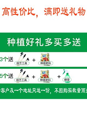阳台花架挂式花盆架子铁艺栏杆多肉挂架种花种菜盆栽花架阳台悬挂