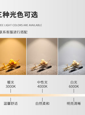 明装射灯圆形led筒灯无主灯客厅照明家用走廊过道灯卧室吸顶筒灯