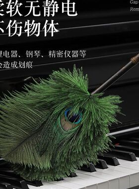风入松孔雀翎鸵鸟毛静电除尘掸家用客厅扫灰鸡毛掸子清洁神器饰品
