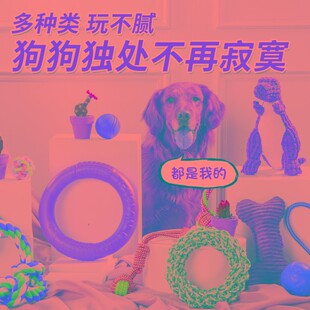 狗狗玩具球磨牙发声套装耐咬拉布拉多大型犬泰迪幼犬金毛解闷神器