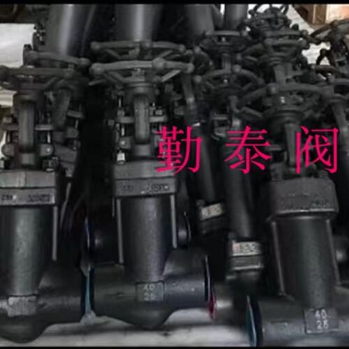 WZ61H-16C锻钢波纹管闸阀/波纹管焊接闸阀炼油石化太阳能发电蒸汽