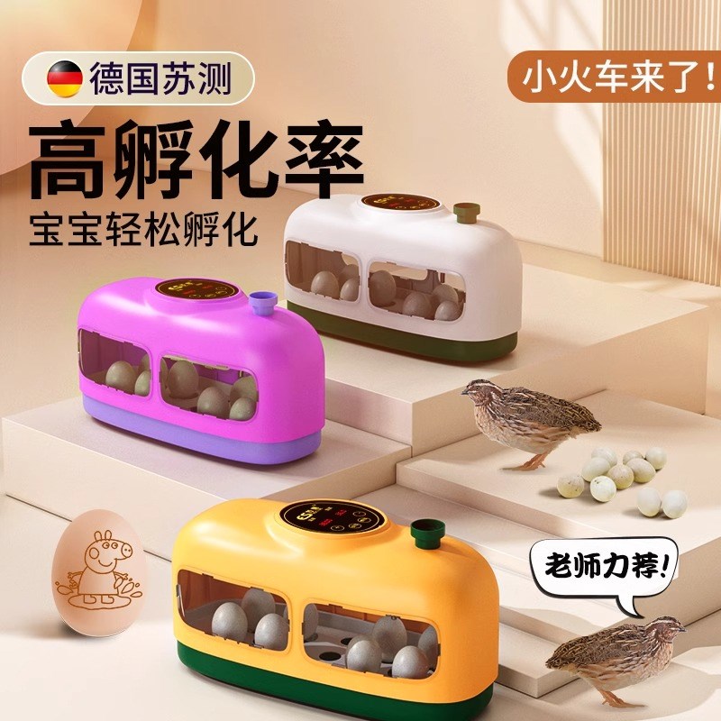 孵化器孵蛋器芦丁鸡孵化箱孔雀小动物家用小型鹅小鸡鸟蛋鹌鹑鸽子