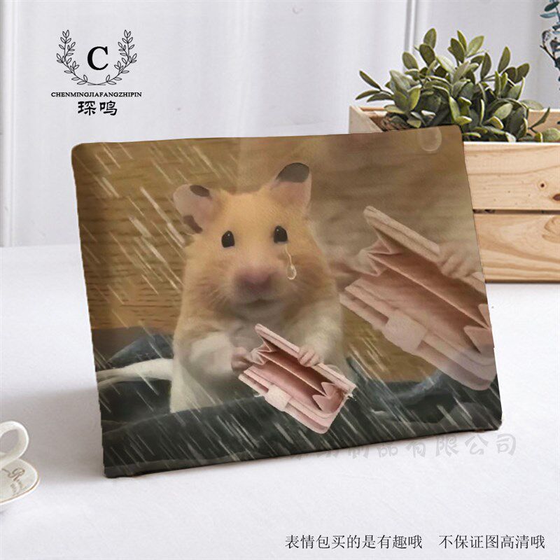 仓鼠表情包坐垫学生屁垫凳子椅垫椅垫