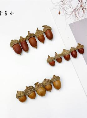 【橡果】天然真橡果籽森系饰品挂饰拍摄道具背景干花干果实橡果帽