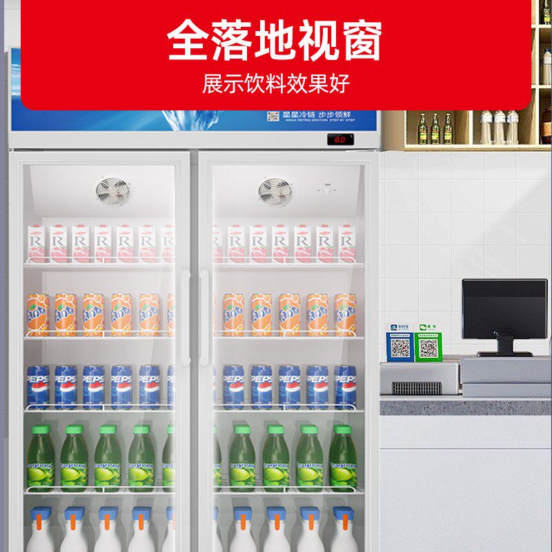 星星冷藏展示柜商用超市饮料柜小卖部啤酒柜陈列冰箱单门立式冰柜