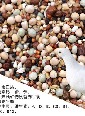 鸽粮5斤鸽子饲料50鸟食信鸽幼鸽高粱小麦谷子无玉米鸽子粮包10邮
