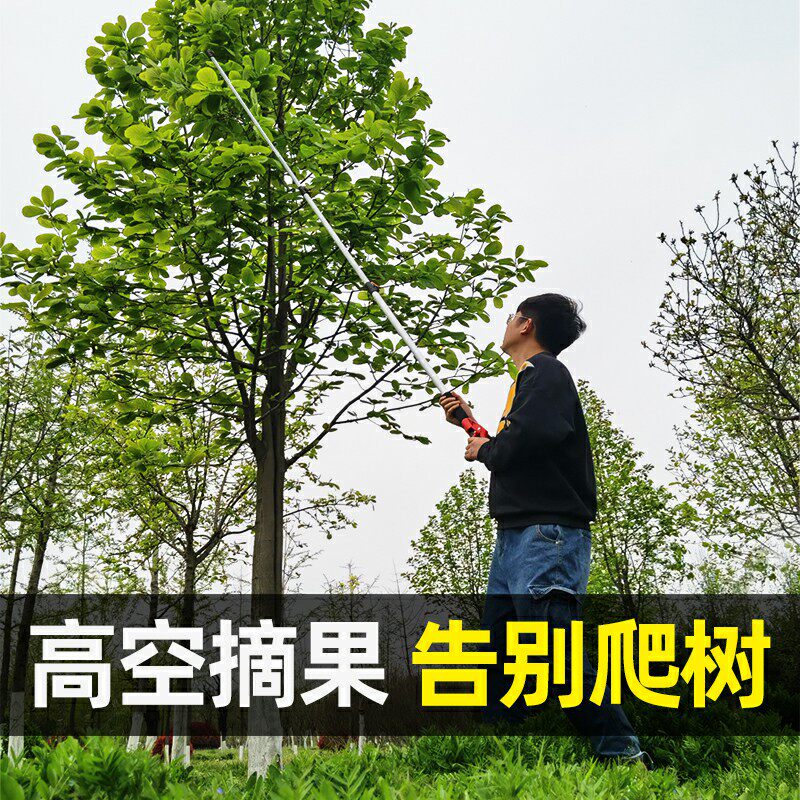 摘水果杨梅荔枝芒果高枝剪伸缩杆高空剪采摘果子神器摘果果树剪刀