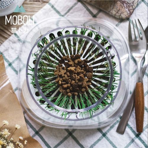 MOBOLI猫卜力猫草碗猫碗猫草杯秘密森林斜口猫咪食盆喝水盆猫狗碗