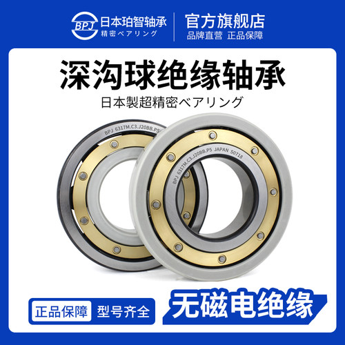 BPJ日本原装进口轴承6224M铜保深沟球绝缘轴承6226陶瓷轴承大全
