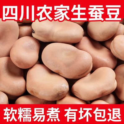 【农家原产】干蚕豆新货干豆