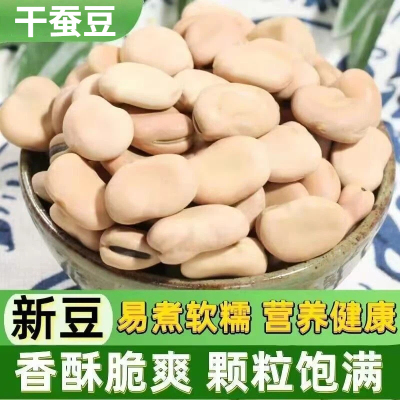 【农家原产】干蚕豆新货干豆