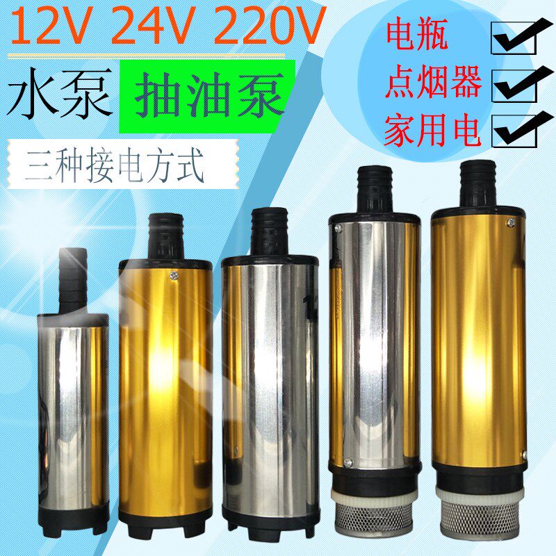 抽油泵柴油12V伏24V48V60V车载电动车水泵