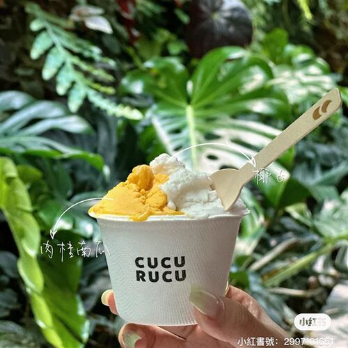 可降解一次性迷你冰淇淋酸奶小纸碗网红可颂烘焙甜品打包纸浆杯子