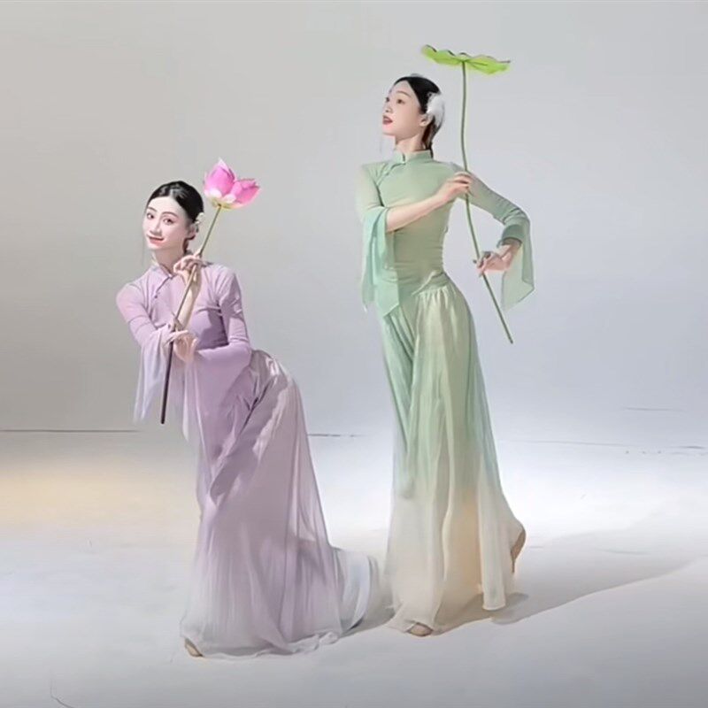 采莲舞蹈服装成人舞台飘s逸套装古典舞纱衣练功服艺考入莲间表演