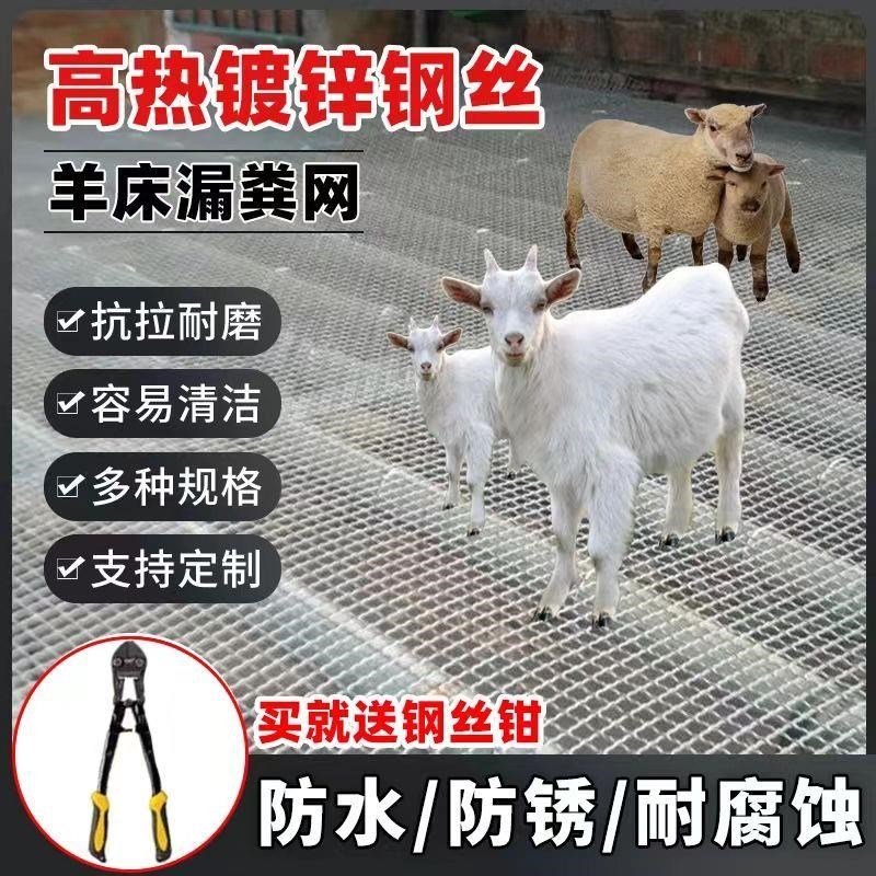 羊床钢丝网镀锌网编织网养u羊钢丝网羊床网鸡鸭鹅床网养殖漏粪网