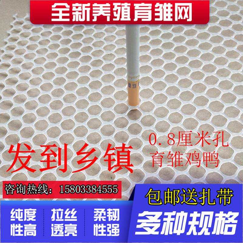 塑料平网养鸡鸭鹅漏m粪脚垫网养殖塑a料铺底网小鸡保温育雏网养蜂
