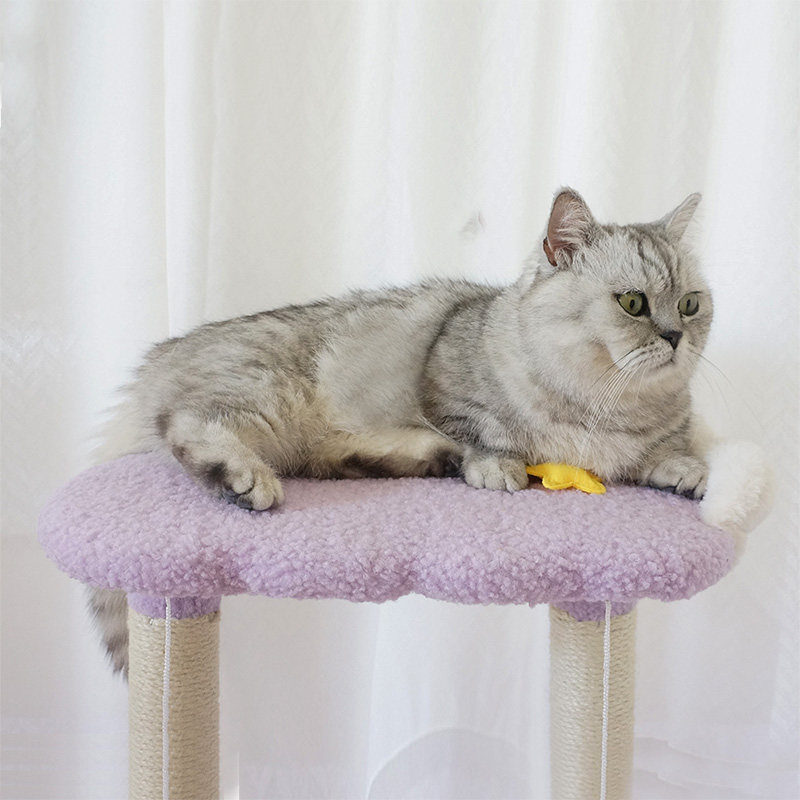 网红猫爬架小型猫窝猫树一体麻绳猫抓柱子猫跳台猫咪玩具宠物用品