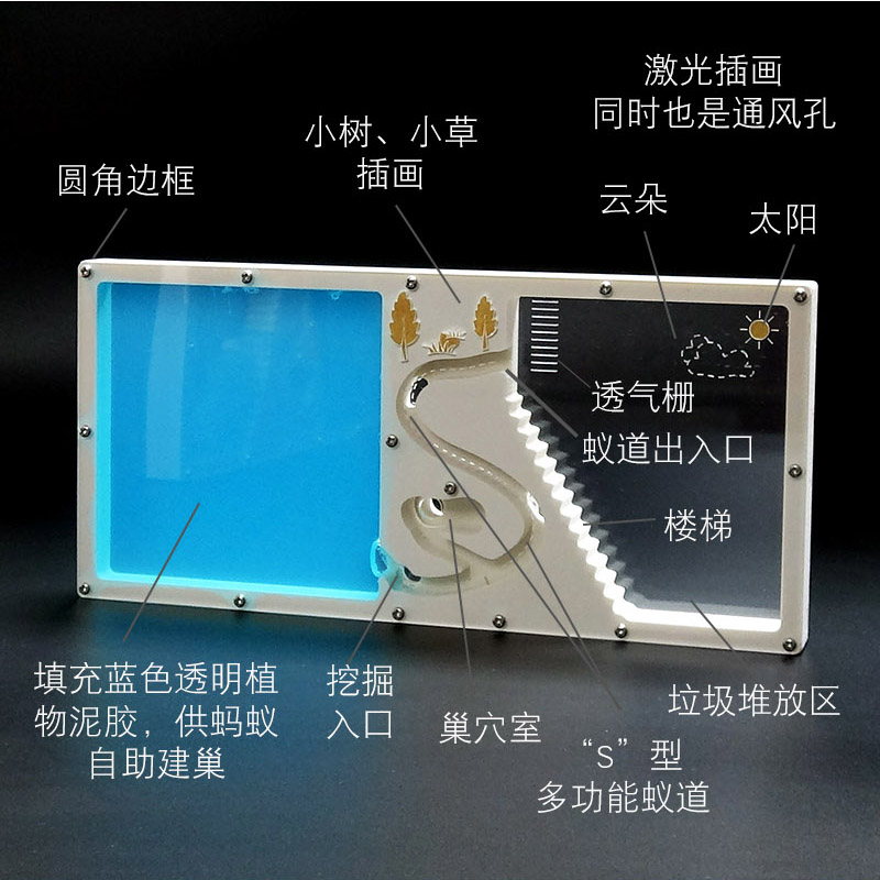幼儿园蚂蚁工坊学生科学探索创意蚁巢蚂蚁城堡庄园蚁后宠物蚂蚁后